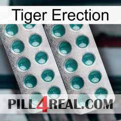 Tiger Erection dapoxetine2